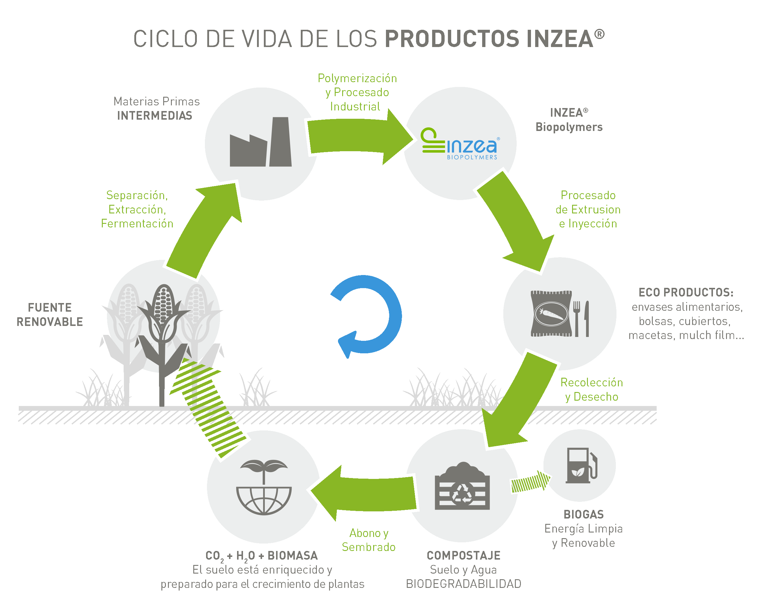 Ciclo de vida de los productos INZEA®.