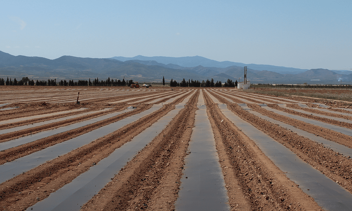 El uso de plásticos en agricultura, el caso de los acolchados