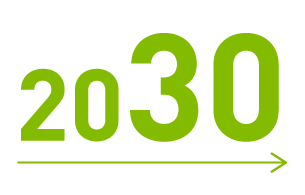 2030-icon